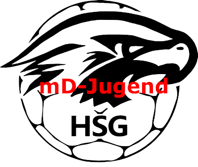 HSG-gemeinsam durch den Heimspieltag