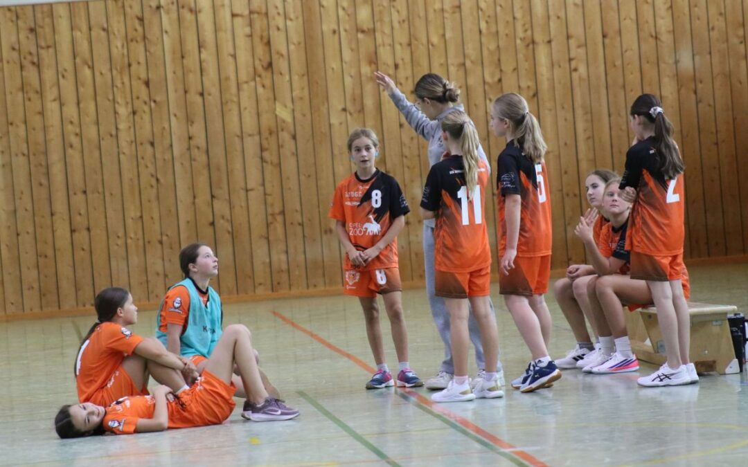 HSG SKG gegen TSG Oberursel II